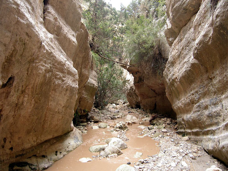 Смыкающиеся скалы ущелья Авакас образуют узкий и длинный коридор